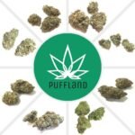 Puffland